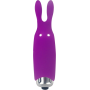 VIOLA POCKET VIBRATOR - LASTIC