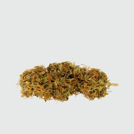 CANNABIS LIGHT CBWEED ORANGE HAZE CBD – 5G