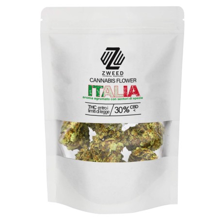 ZWEED ITALIA 5GR