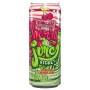 ARIZONA CHERRY LIME RICKEY CONF.650ml x 24pz